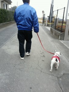 父と散歩
